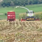 Vakantieboerderij Pulte
