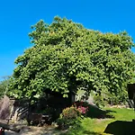 Pulte Vakantieboerderij Attendorn