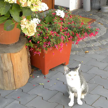 Séjour à la ferme Pulte
