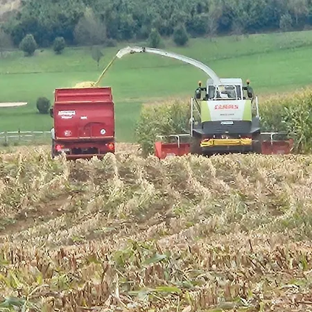 Gospodarstwo agroturystyczne Pulte