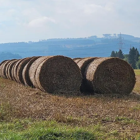 Pulte Gospodarstwo agroturystyczne