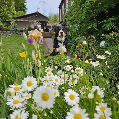 Pulte Attendorn