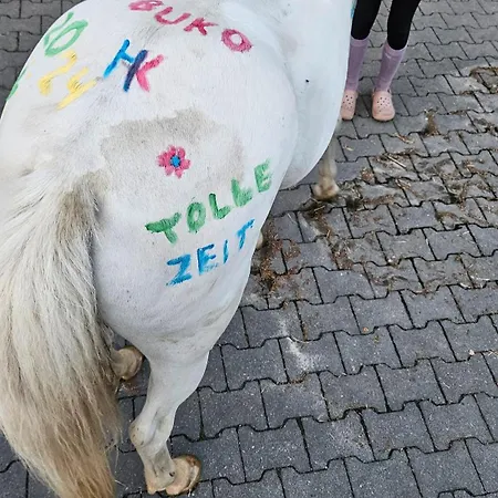 Pulte Gospodarstwo agroturystyczne