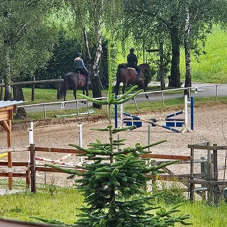 Gospodarstwo agroturystyczne Pulte *