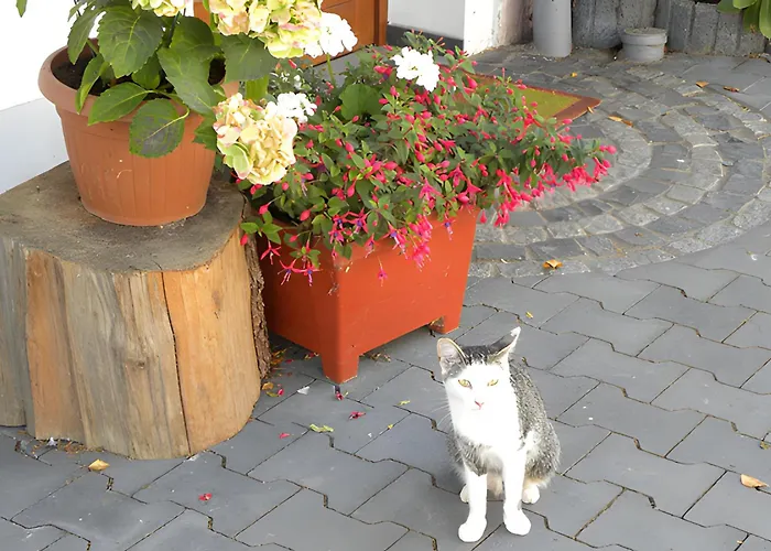 Séjour à la ferme Pulte