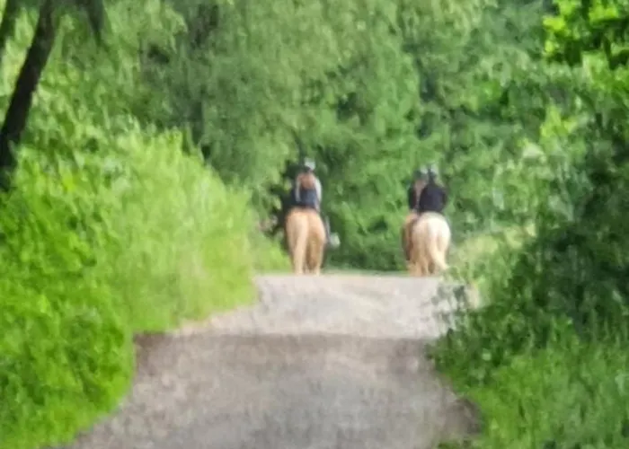 Pulte Séjour à la ferme Attendorn