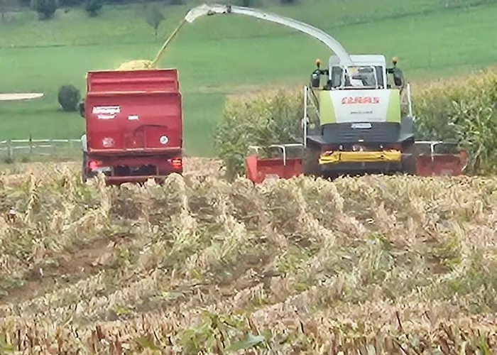 Séjour à la ferme Pulte