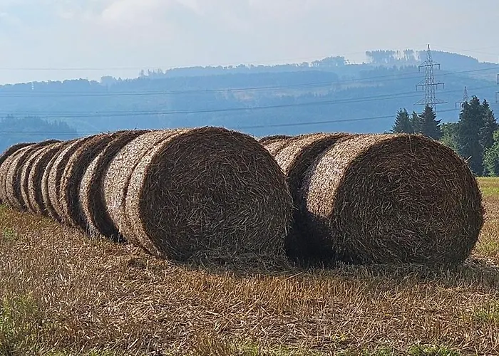 Pulte Séjour à la ferme