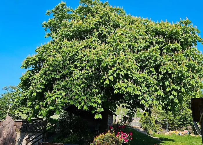 Pulte Séjour à la ferme Attendorn